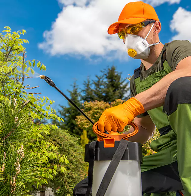 Why Choose Merrifield Pest Control Pro for Outdoor Pest Control in Merrifield, VA?