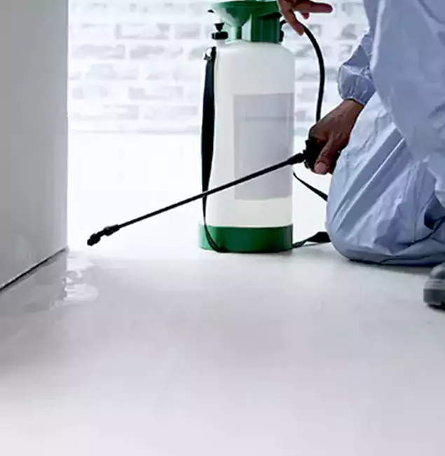 Why Choose Merrifield Pest Control Pro for Rat Exterminator in Merrifield, VA?
