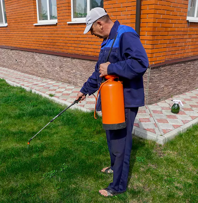 Why Choose Merrifield Pest Control Pro for Residential Pest Control in Merrifield, VA?