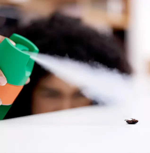 Why Merrifield, VA Homeowners Choose Merrifield Pest Control Pro for Roach Pest Control?