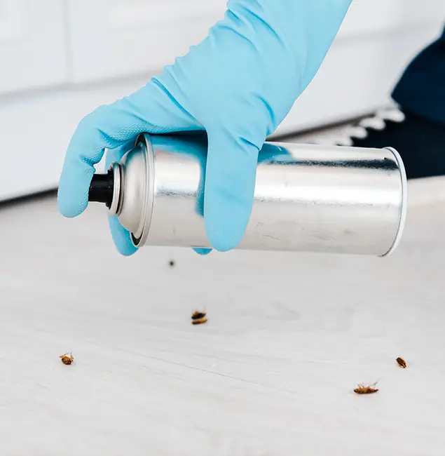 Why Choose Merrifield Pest Control Pro for Safe Bed Bug Treatment in Merrifield, VA?