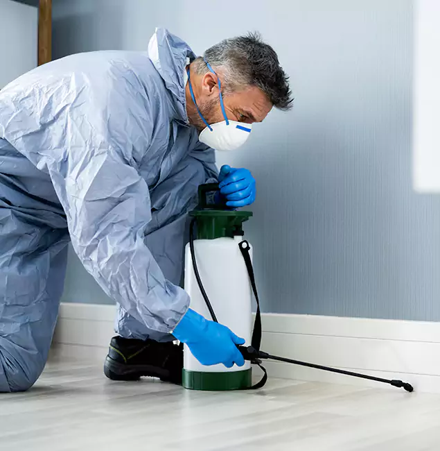Why Choose Merrifield Pest Control Pro for Subterranean Termites Treatment in Merrifield, VA?