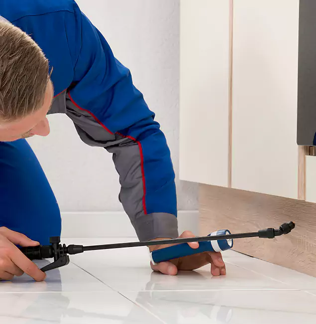 Why Merrifield Residents Choose Merrifield Pest Control Pro to Get Rid of Sugar Ants?