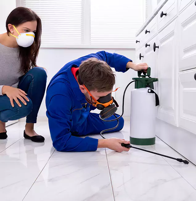 Why Choose Wood Termite Treatment by Merrifield Pest Control Pro in Merrifield, VA?