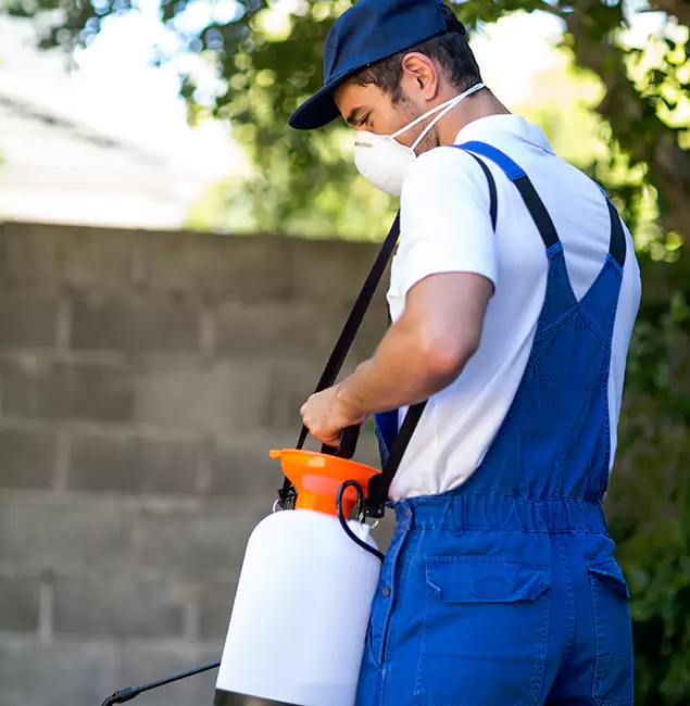 Why Merrifield Pest Control Pro Is the Right Choice for Yellow Jacket Removal in Merrifield, VA?