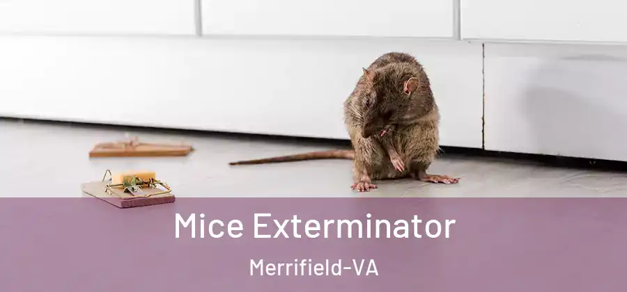 Mice Exterminator Merrifield-VA