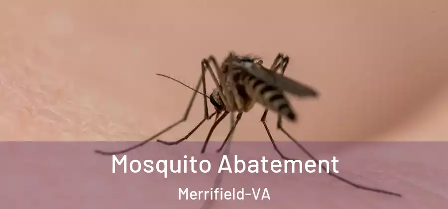  Mosquito Abatement Merrifield-VA