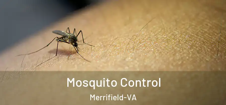 Mosquito Control Merrifield-VA