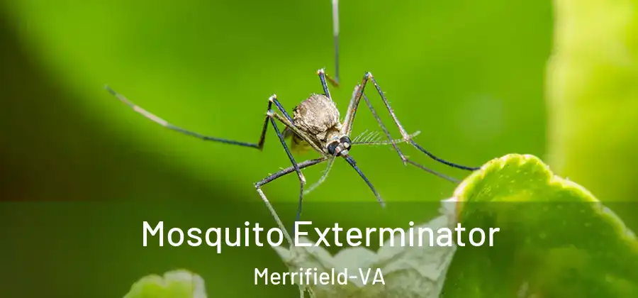 Mosquito Exterminator Merrifield-VA