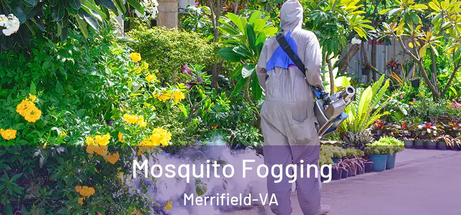 Mosquito Fogging Merrifield-VA