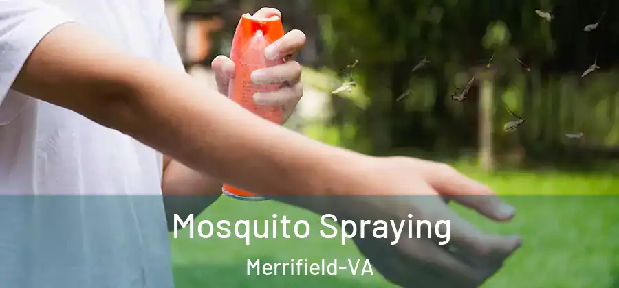 Mosquito Spraying Merrifield-VA