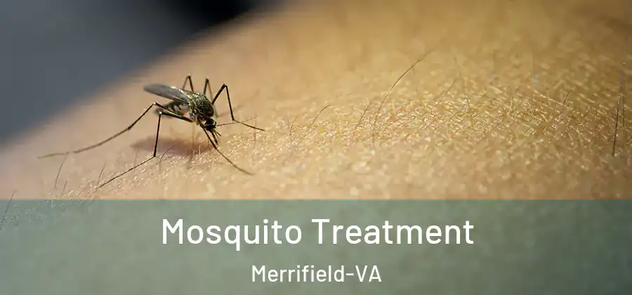  Mosquito Treatment Merrifield-VA