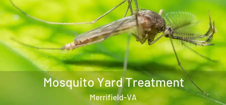 Mosquito Yard Treatment Merrifield-VA
