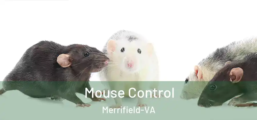 Mouse Control Merrifield-VA