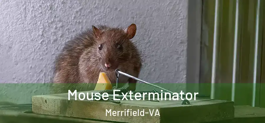 Mouse Exterminator Merrifield-VA