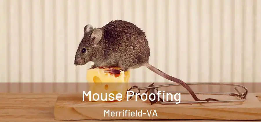 Mouse Proofing Merrifield-VA