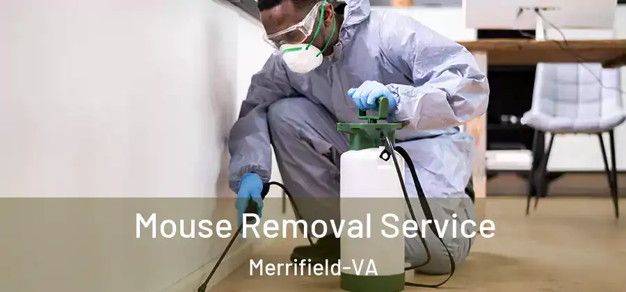 Mouse Removal Service Merrifield-VA