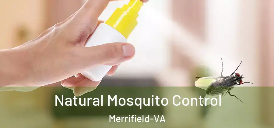  Natural Mosquito Control Merrifield-VA