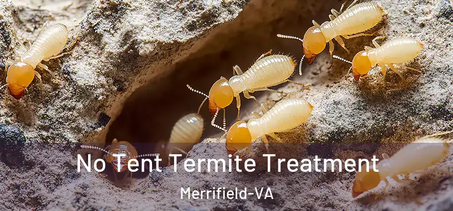 No Tent Termite Treatment Merrifield-VA