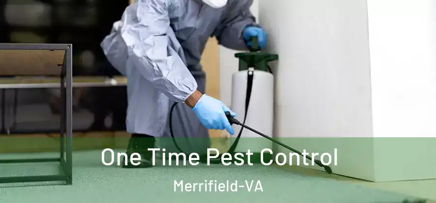  One Time Pest Control Merrifield-VA