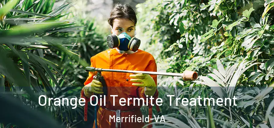  Orange Oil Termite Treatment Merrifield-VA