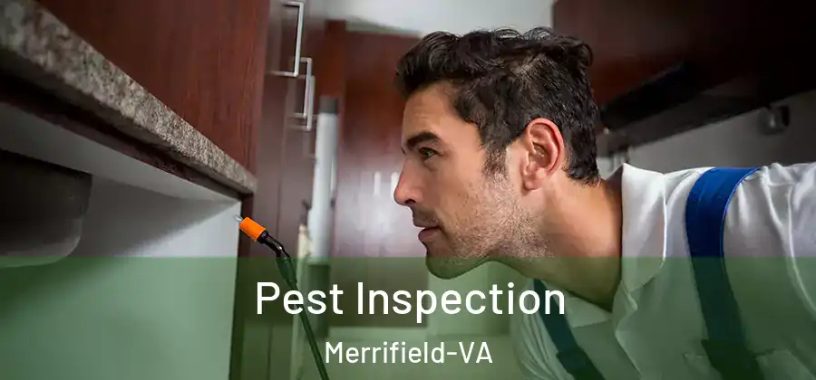 Pest Inspection Merrifield-VA