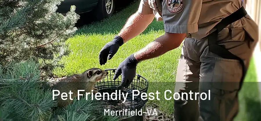 Pet Friendly Pest Control Merrifield-VA