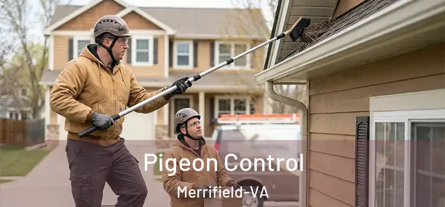 Pigeon Control Merrifield-VA