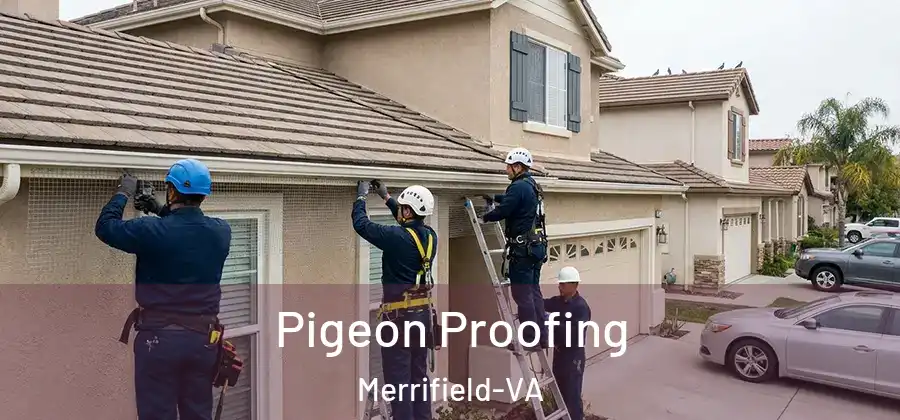 Pigeon Proofing Merrifield-VA