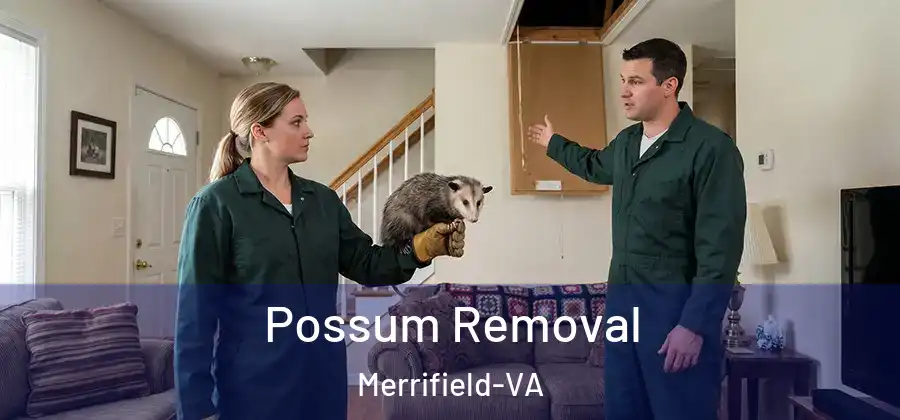 Possum Removal Merrifield-VA