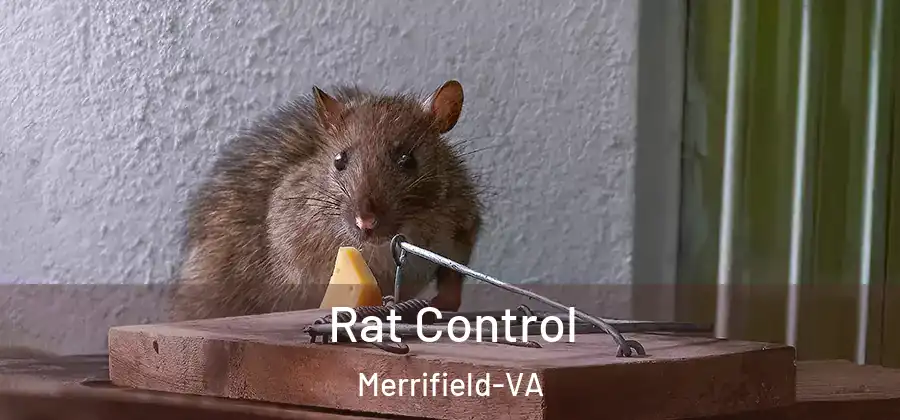 Rat Control Merrifield-VA