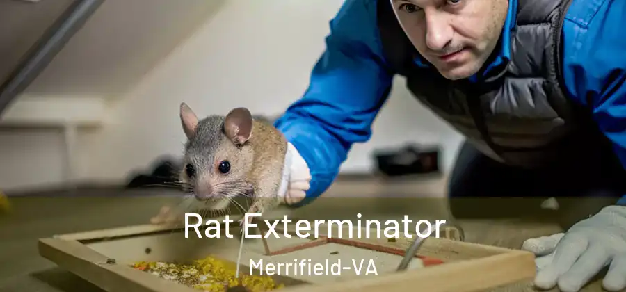Rat Exterminator Merrifield-VA
