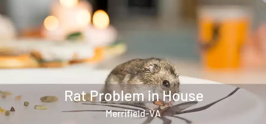 Rat Problem in House Merrifield-VA