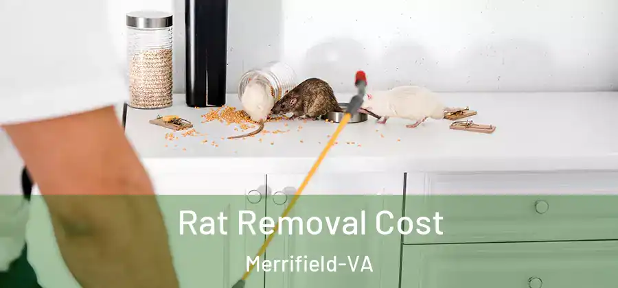 Rat Removal Cost Merrifield-VA