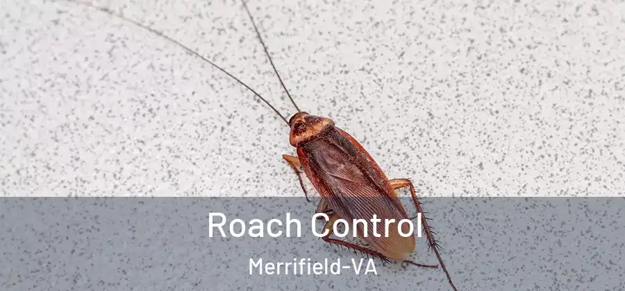 Roach Control Merrifield-VA