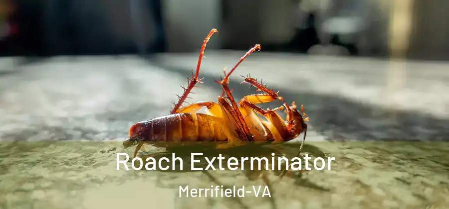 Roach Exterminator Merrifield-VA