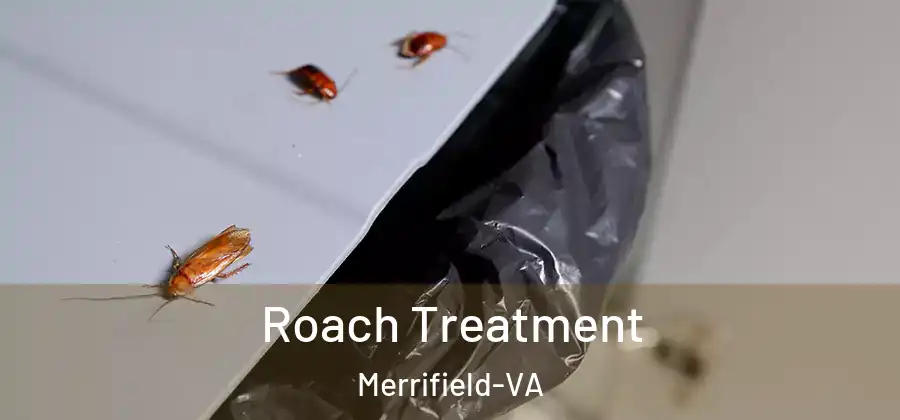 Roach Treatment Merrifield-VA