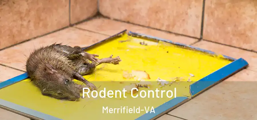 Rodent Control Merrifield-VA