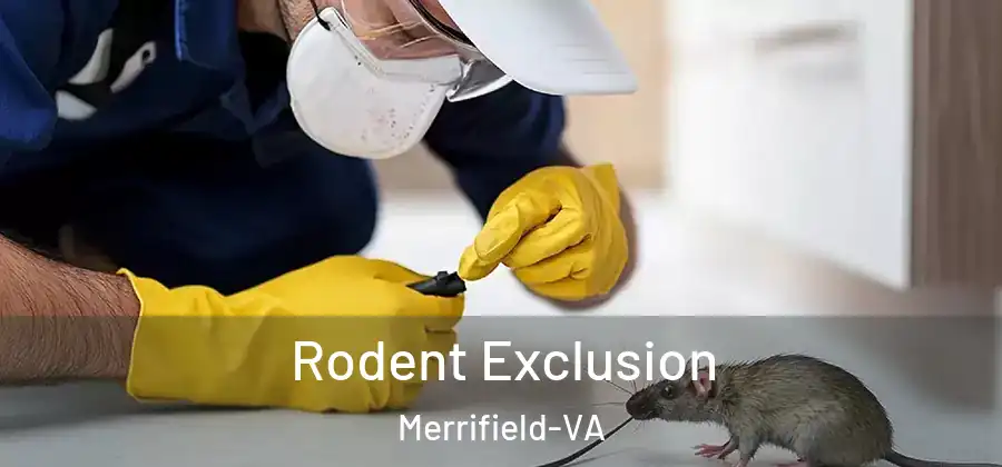 Rodent Exclusion Merrifield-VA