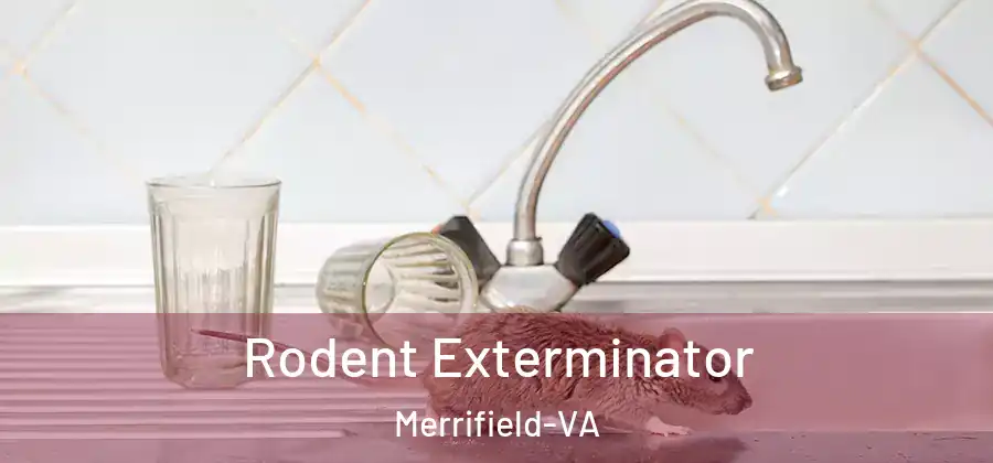 Rodent Exterminator Merrifield-VA