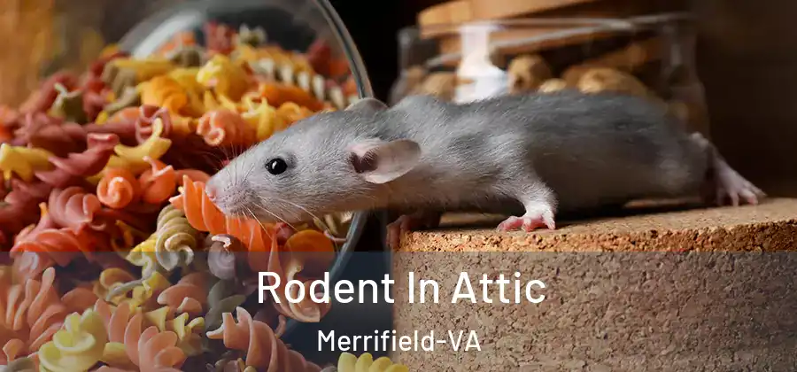 Rodent In Attic Merrifield-VA