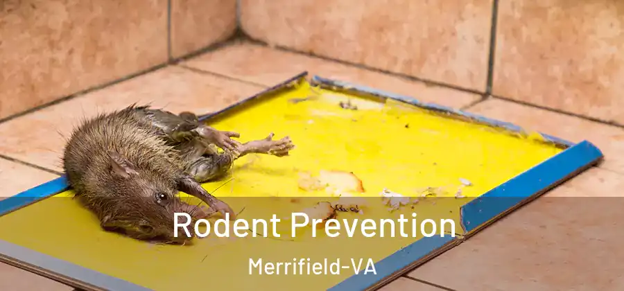Rodent Prevention Merrifield-VA