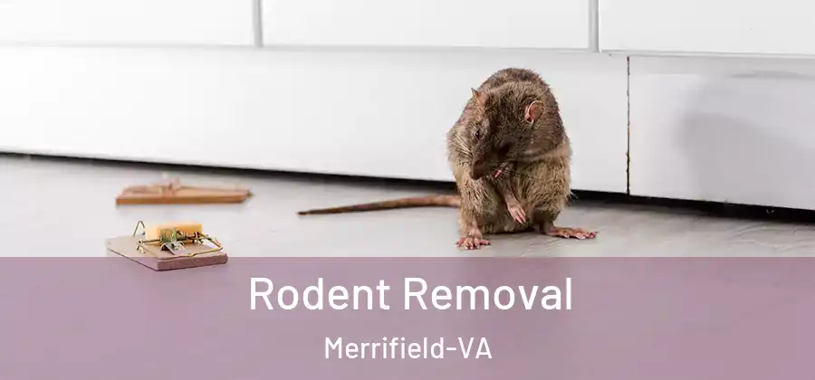 Rodent Removal Merrifield-VA
