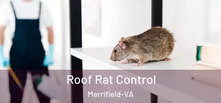Roof Rat Control Merrifield-VA