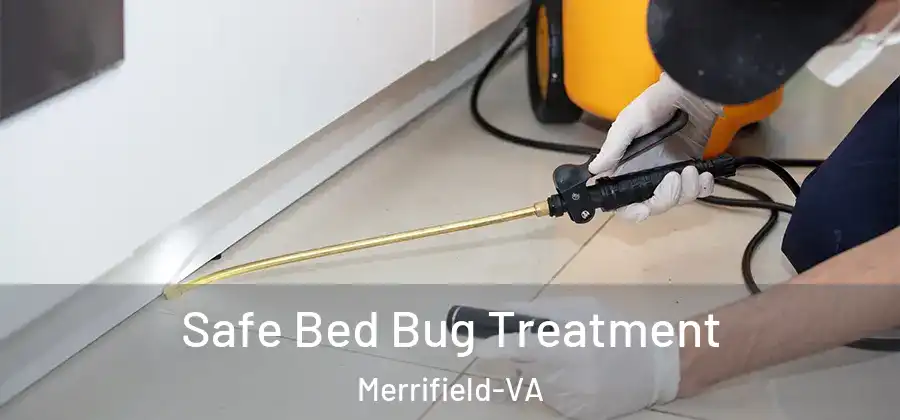 Safe Bed Bug Treatment Merrifield-VA