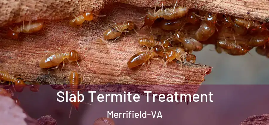  Slab Termite Treatment Merrifield-VA