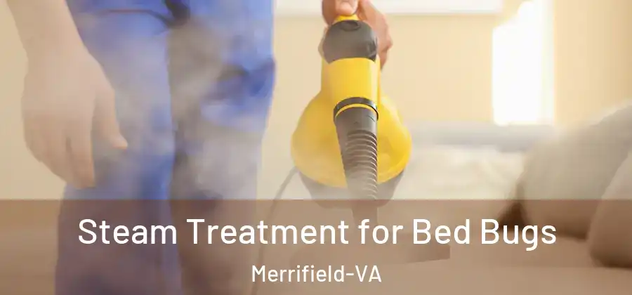 Steam Treatment for Bed Bugs Merrifield-VA