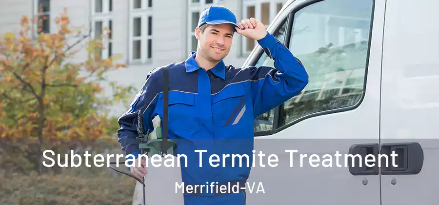  Subterranean Termite Treatment Merrifield-VA