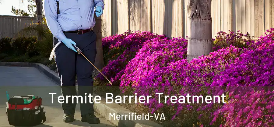 Termite Barrier Treatment Merrifield-VA