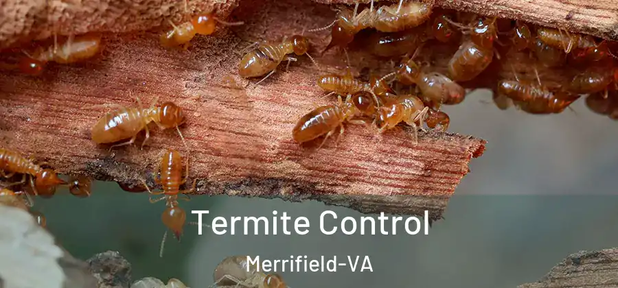 Termite Control Merrifield-VA